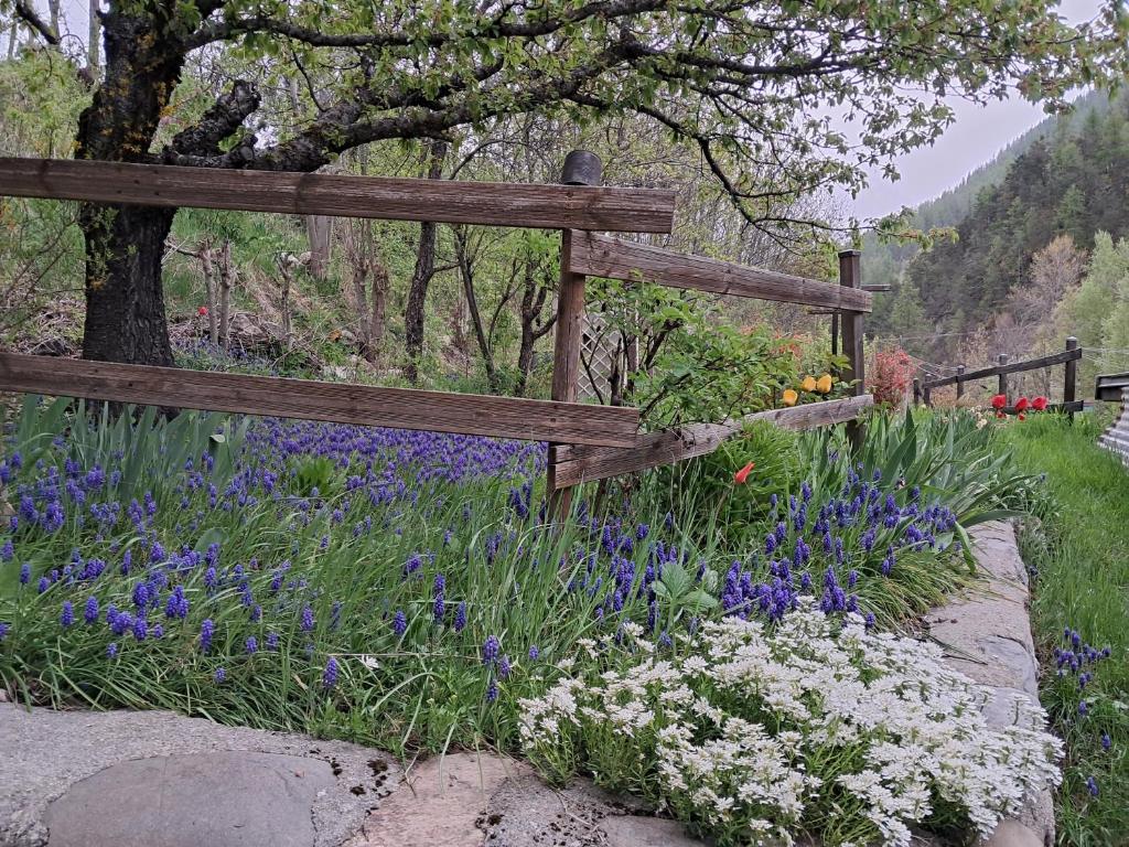 Vonkajšia záhrada v ubytovaní Les VIGNEAUX Hautes Alpes, Appartement 4 personnes, avec belle terrasse panoramique