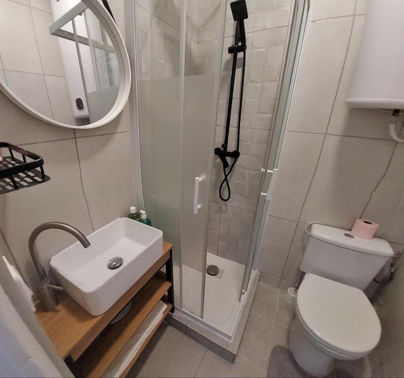 a bathroom with a sink and a toilet and a mirror at Private place in the city center, private bathroom in Nice
