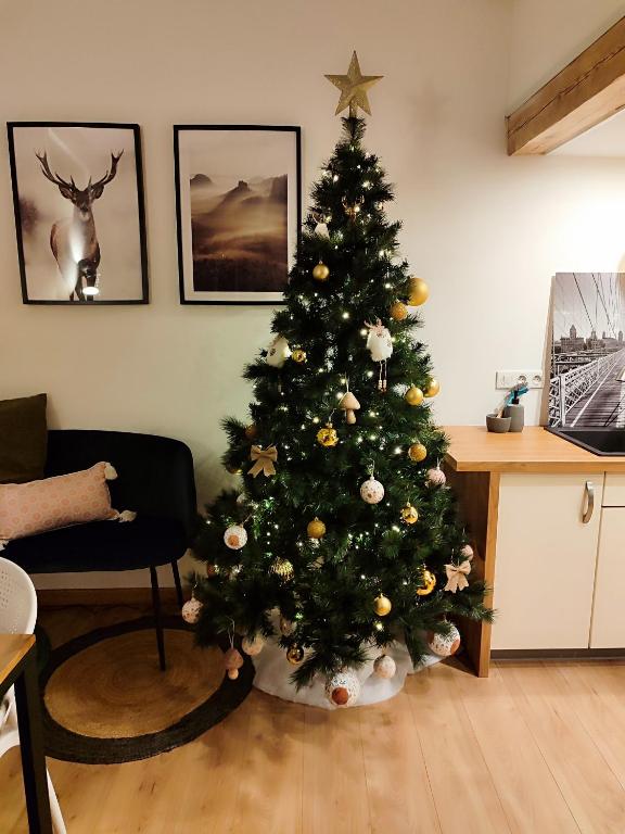 Fotografie z fotogalerie ubytování Le chaleureux loft 1 minute du tram v destinaci Lingolsheim
