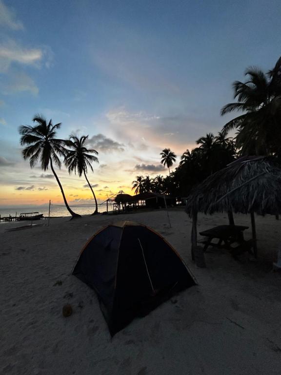 a tent on a sandy beach with palm trees at Camping Tent on Guna Yala Island in Panama City