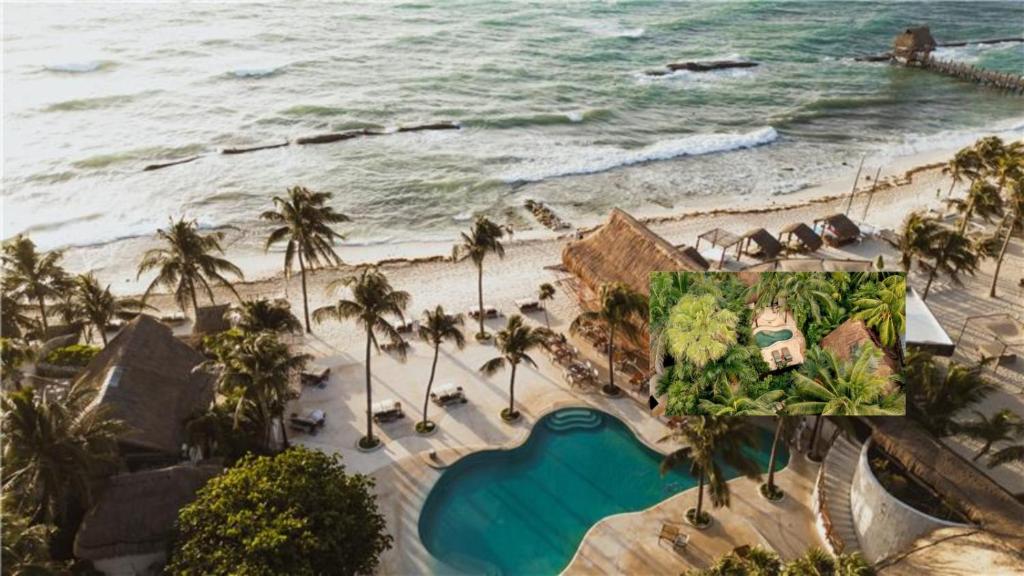 Viceroy Riviera Maya: retiro zen de lujo en plena selva caribeña
