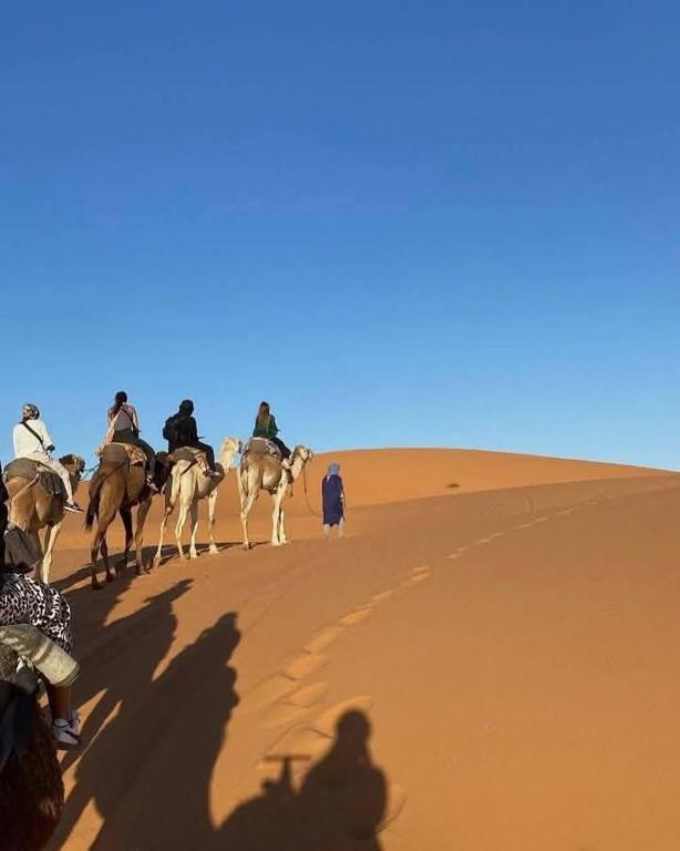 Hosté ubytování Bivouac Camel Trips