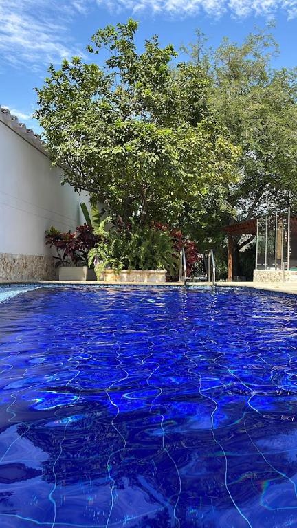 Bazén v ubytování Casa Bixa Hotel Boutique - Mayores de 12 años - nebo v jeho okolí