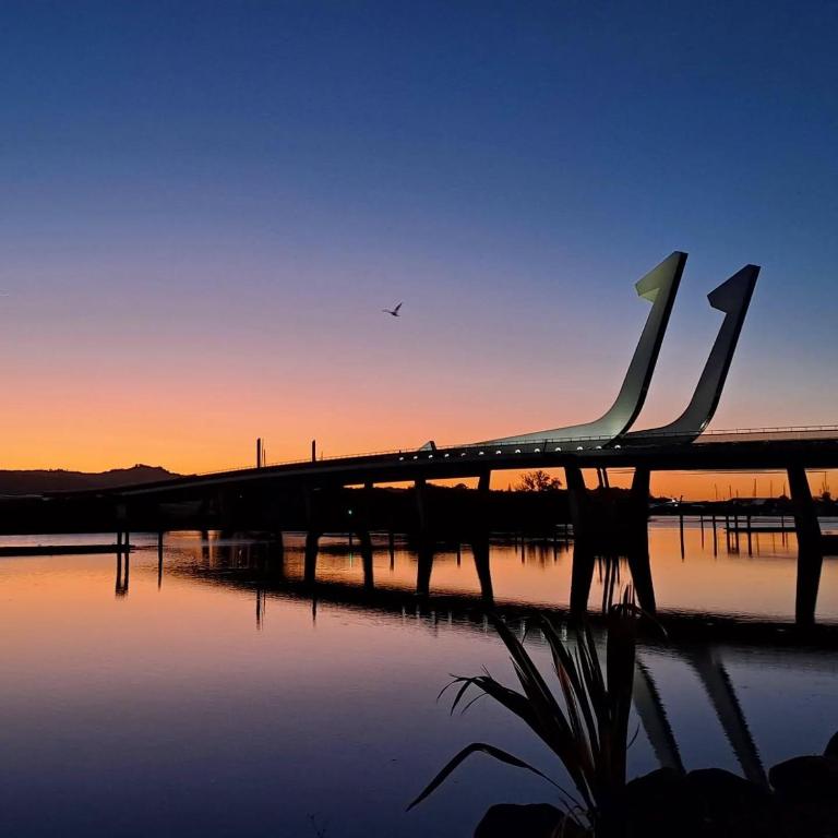 BK's Pohutukawa Lodge - Resim 36