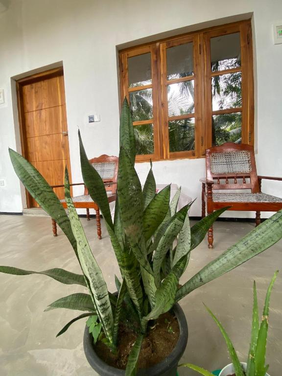 Zahrada ubytování One FS Hotel Arugambay