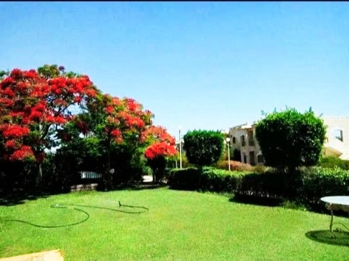 a green yard with trees and red flowers at Marina 5 مارينا in El Alamein