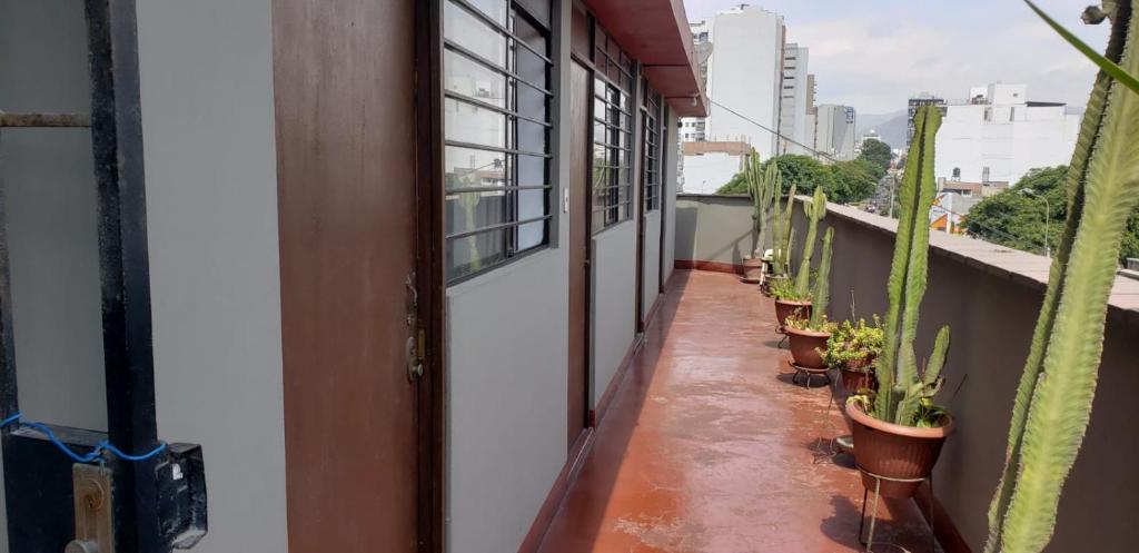 Balkón nebo terasa v ubytování Hospedaje Miraflores 17