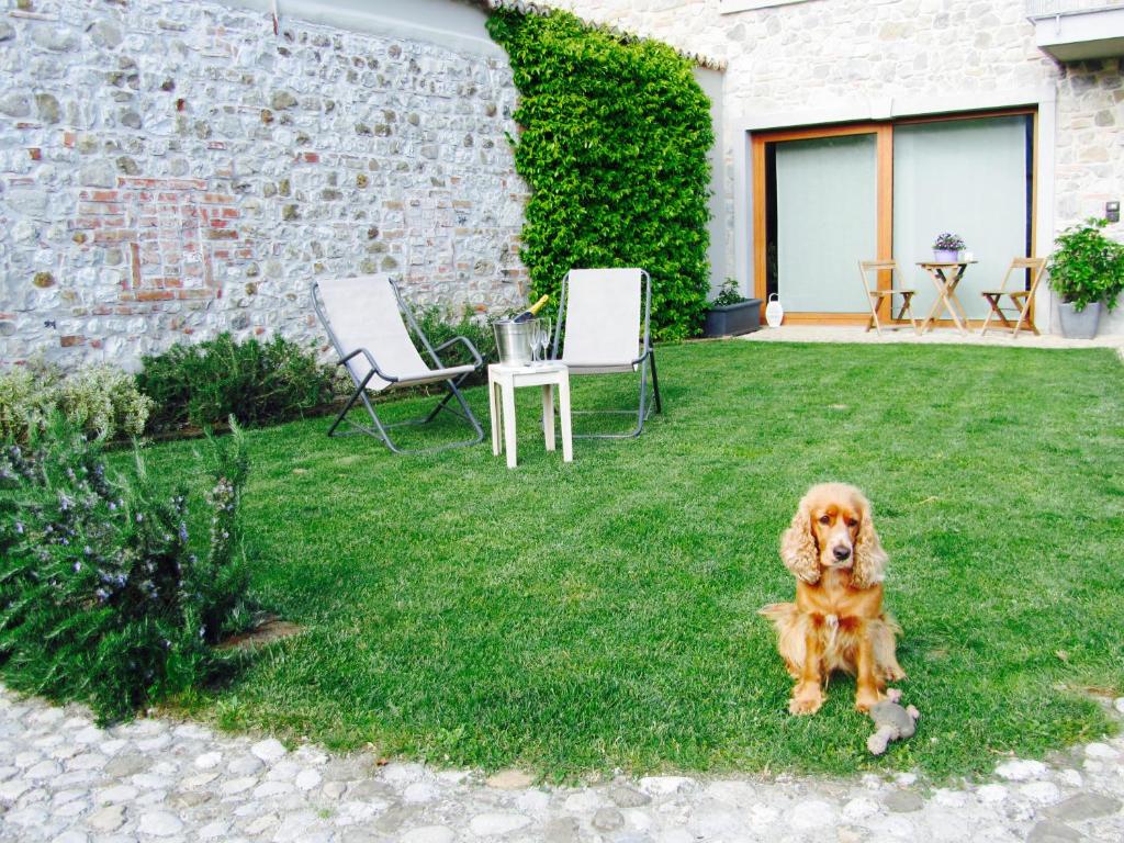 Domácí mazlíčci ubytovaní s hosty v ubytování Alc&cE' alloggio agrituristico