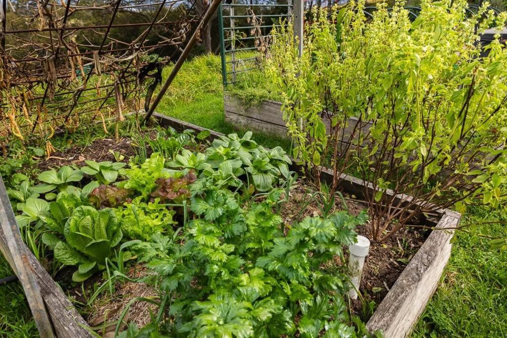Giardino di Little Magic Tiny House by Tiny Away