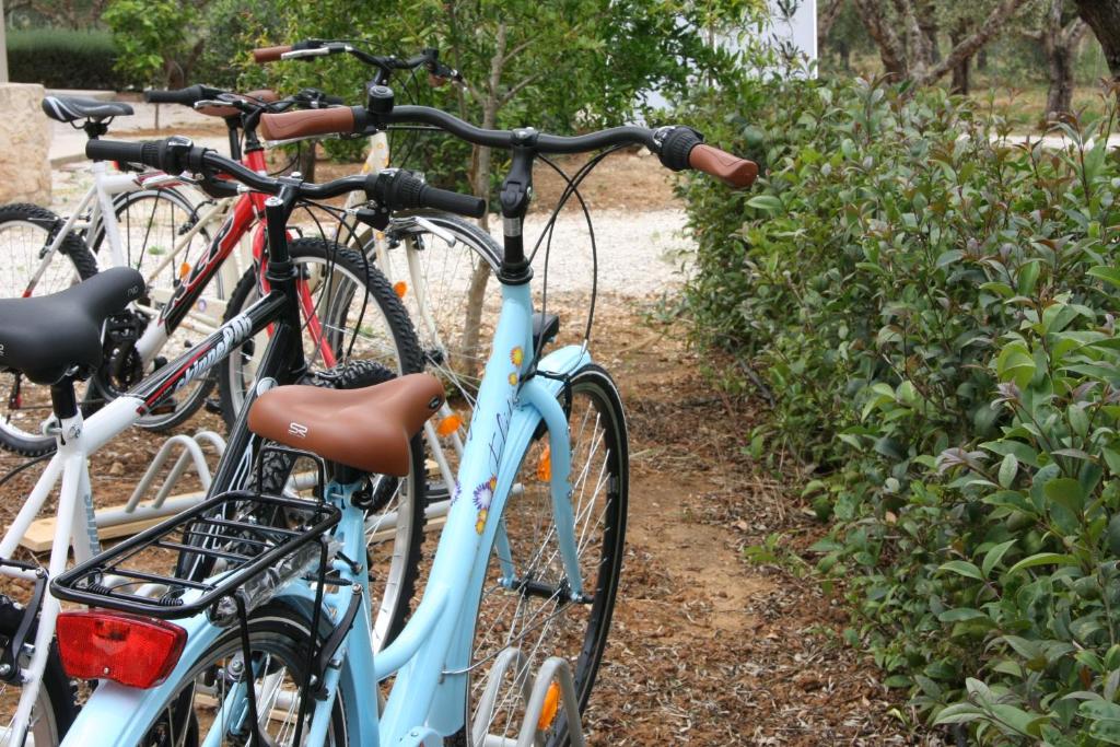 Jazda na bicykli v okolí ubytovania Aelia Home Suites