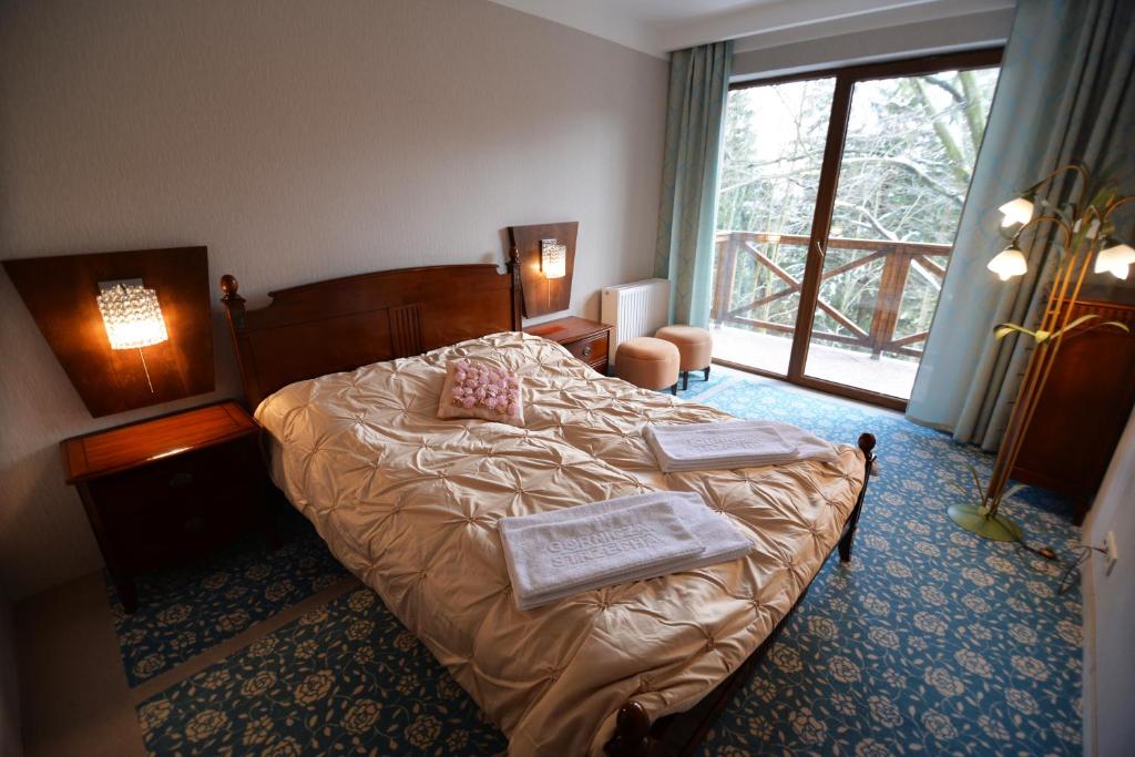Hotel EUROPA - Górnicza Strzecha - استوديو ديلوكس
