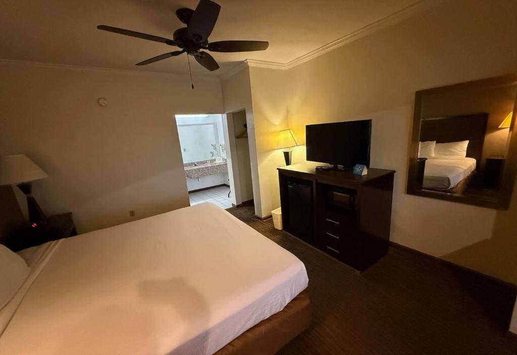 Una habitación de hotel con una cama y un televisor de pantalla plana. en Days Inn by Wyndham Navasota, en Navasota
