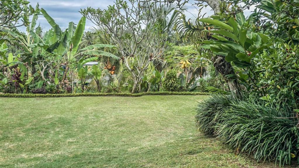 Zahrada ubytování DLobong Suites Ubud