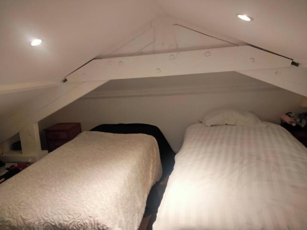 une chambre avec deux lits dans un grenier dans l'établissement Maisonnette agréable, à Saint-Malo