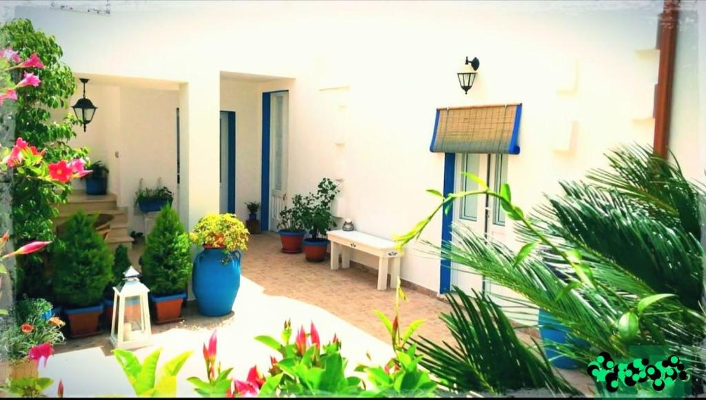 Zahrada ubytování B&B Antiche Stelle Salento