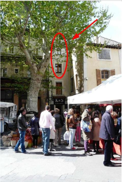 Un groupe de personnes debout dans une foule sur un marché dans l'établissement Duplex en plein centre, à LʼIsle-sur-la-Sorgue