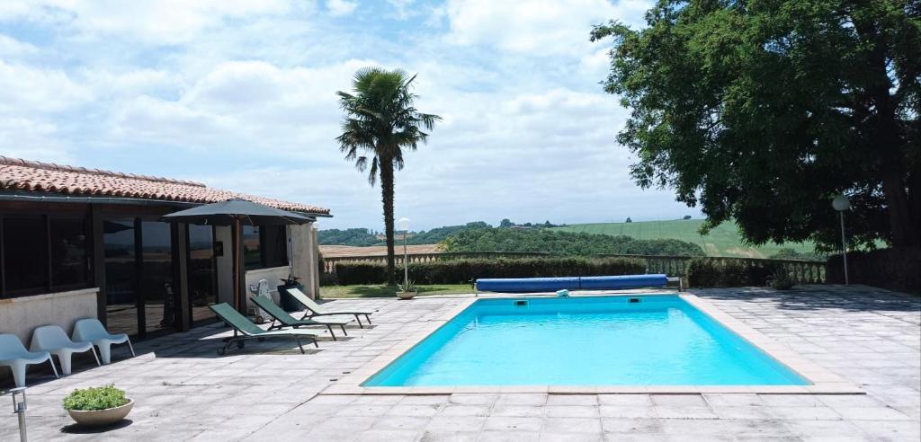 - une piscine avec des chaises et un palmier dans l'établissement Casa Tutel, à Esperce