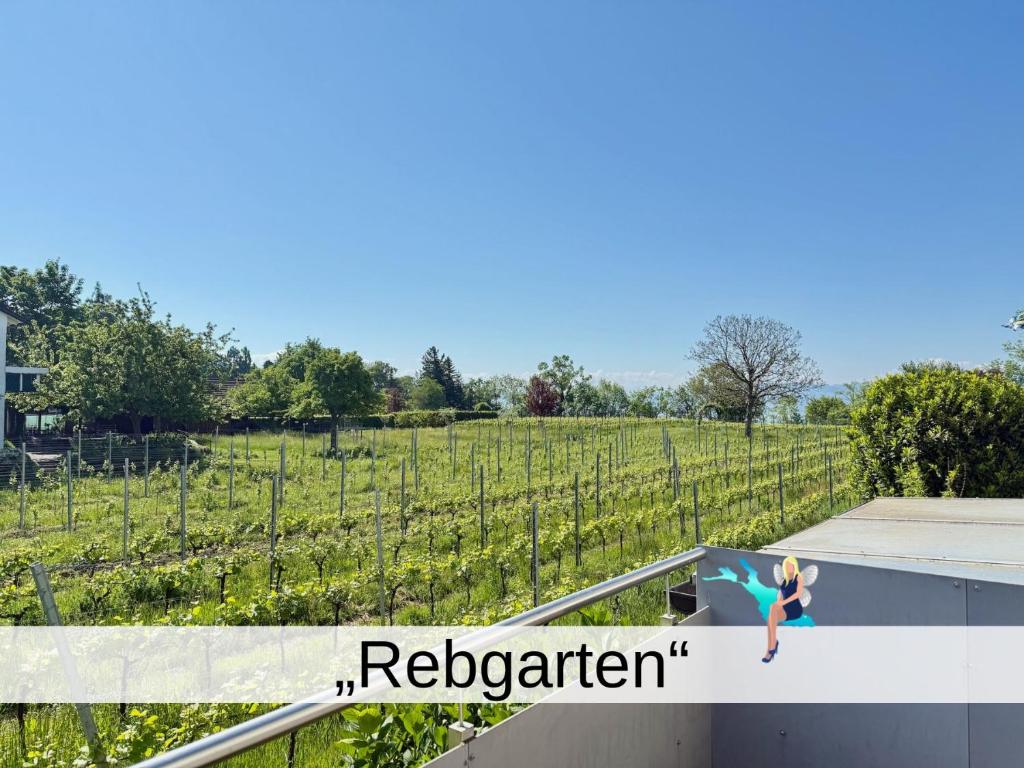 Hosté ubytování Ferienwohnung Rebgarten - gemütliche und komfortable Familienunterkunft