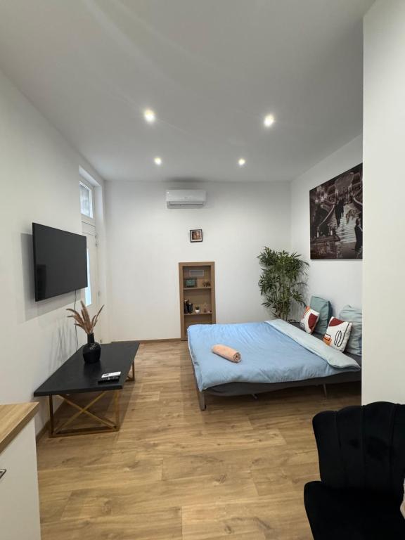 Una sala de estar con una cama y un televisor. en studio entier, en Montauban