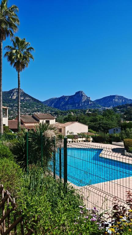 une piscine avec un palmier et des montagnes en arrière-plan dans l'établissement Jolie Maisonnette vençoise, à Vence