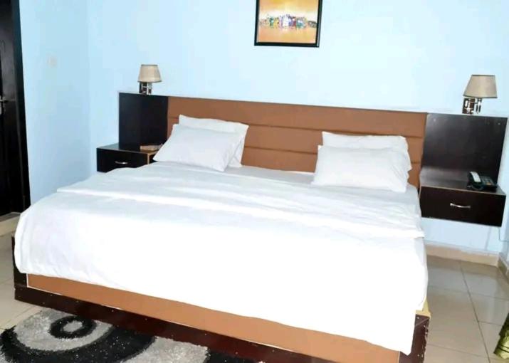 Postel nebo postele na pokoji v ubytování Apex Hilton hotel
