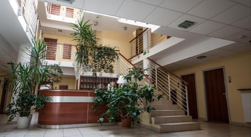 un corridoio con scale e piante in vaso in un edificio di Apartament 42 Loft - Pod Aniołem a Kazimierz Dolny