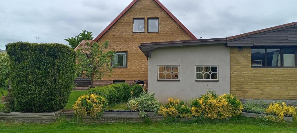 Zahrada ubytování Jenny's Guest House