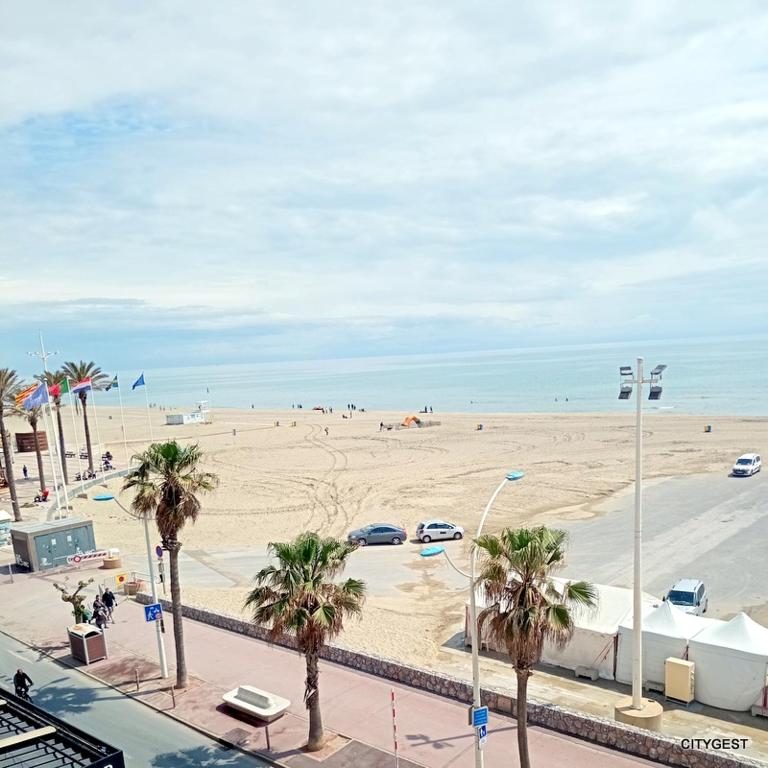 - une vue sur une plage bordée de palmiers dans l'établissement Superbe appartement T3 Vue Mer, terrasse avec Parking Privé 6ARAX17, à Canet
