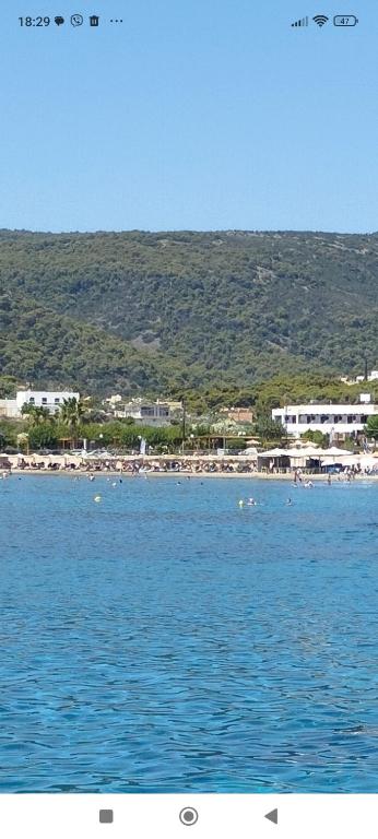 Táj Show holiday homes közelében
