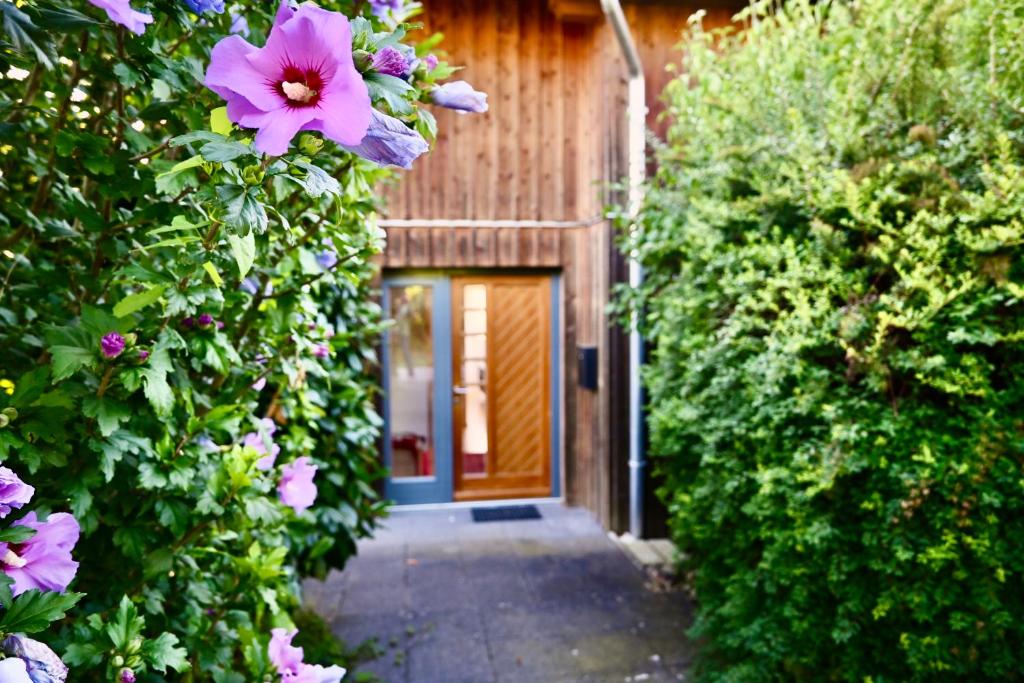 Zahrada ubytování Chalet Attersee - ganzes Ferienhaus, Seeblick, Kamin, Sauna