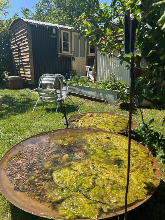 a bird bath in a yard with a chair at Mr Hares shepherd hut in Mellis