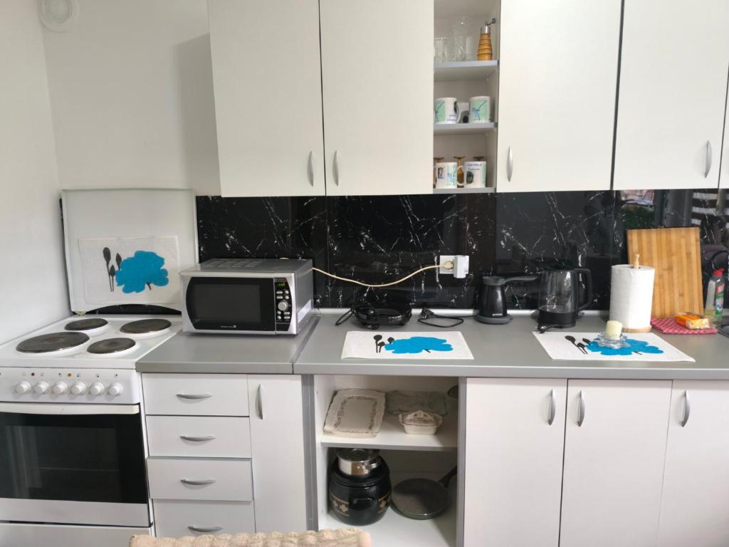 Kuchyň nebo kuchyňský kout v ubytování Apartman Vuković, Majdanpek