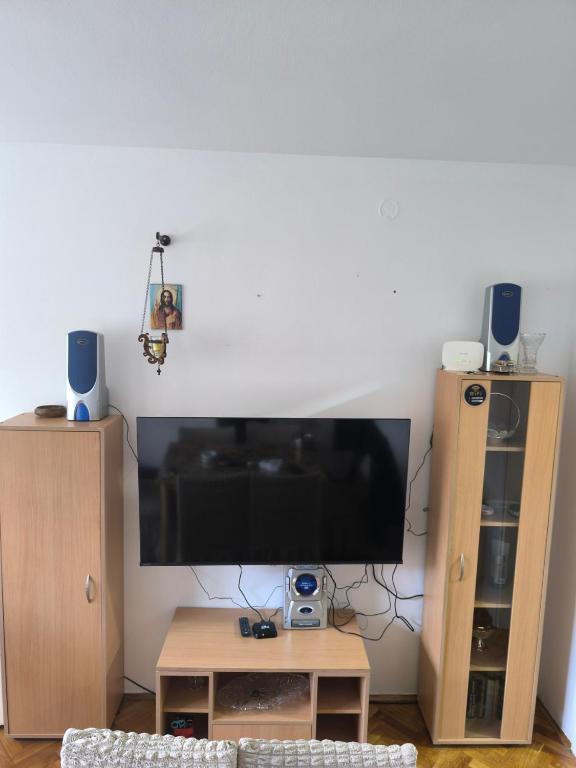 TV a/nebo společenská místnost v ubytování Apartman Vuković, Majdanpek
