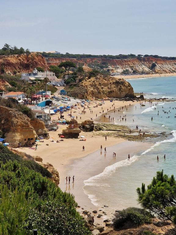 a group of people on a beach in the water at Apt H - Beach Village in Olhos de Água
