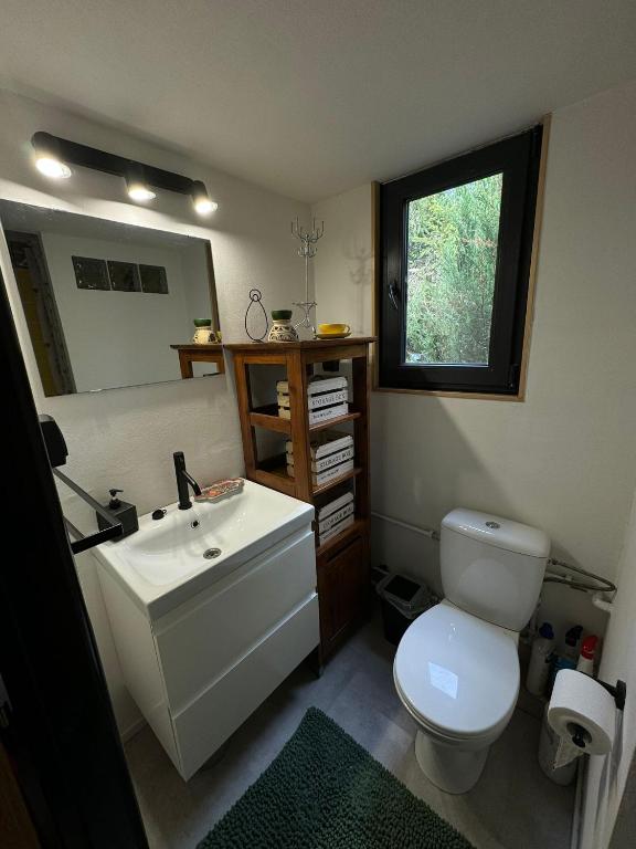 Koupelna v ubytování Tiny Home Kontík