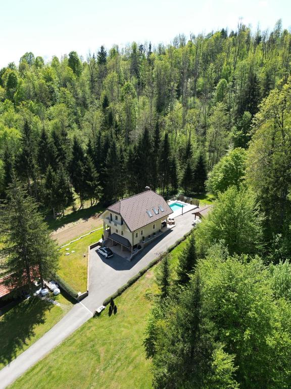 an aerial view of a large house with a pool at Villa Tin & Koča Tin - Nature, Water and Peace in Prestranek