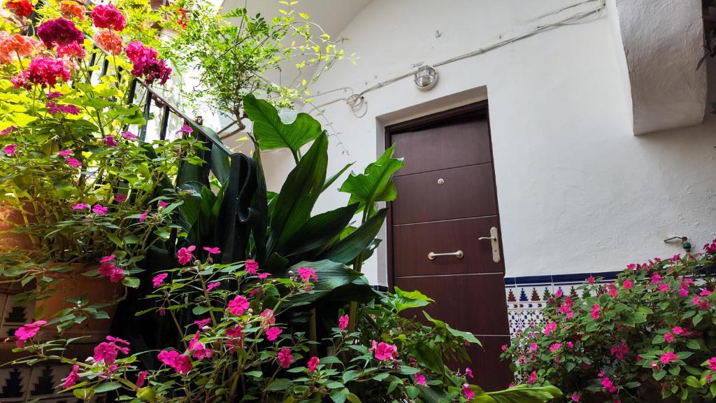 Κήπος έξω από το Apartamento Ipanema