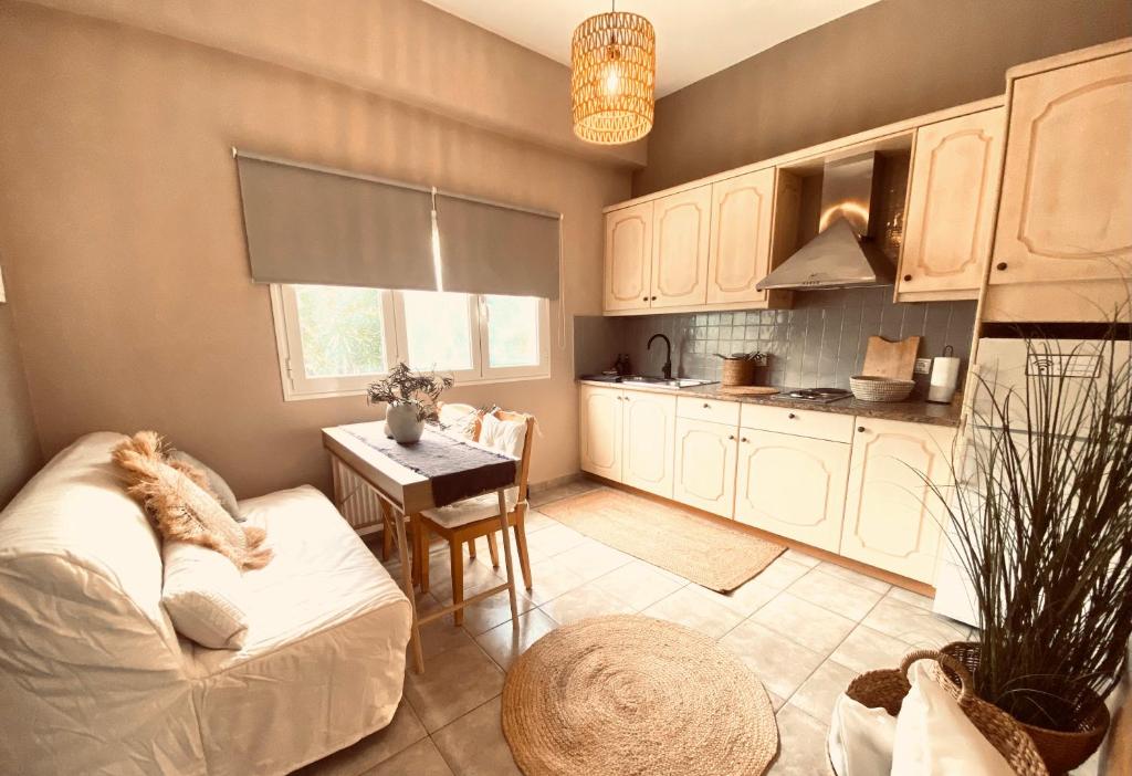 Kuchyň nebo kuchyňský kout v ubytování KIPOS-SS residences