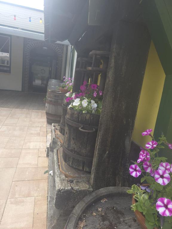 Zahrada ubytování Gasthof zum Schiffmeister