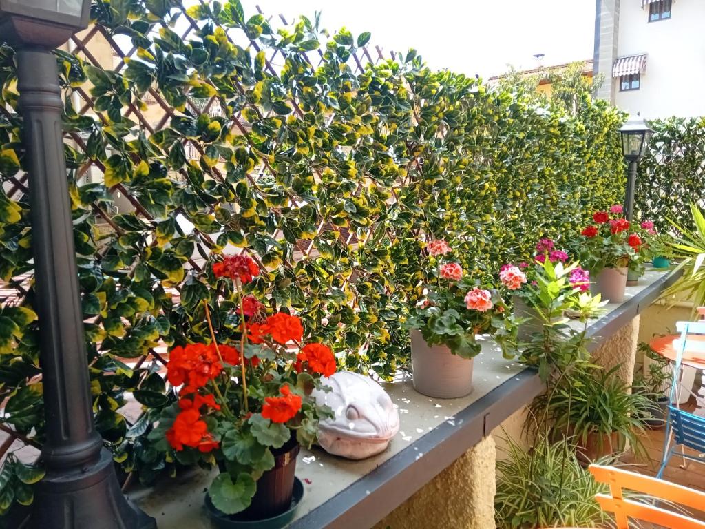 Hotel Tourist House - Resim 9