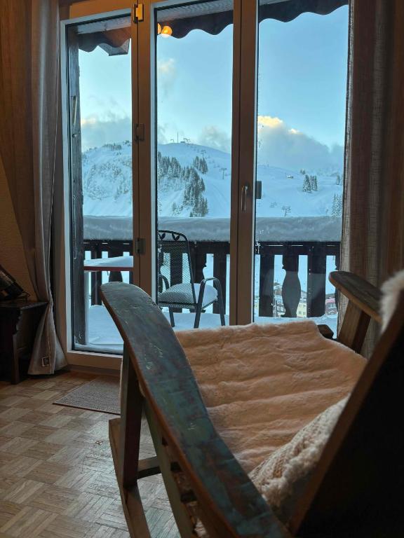 Příroda nedaleko apartmánu