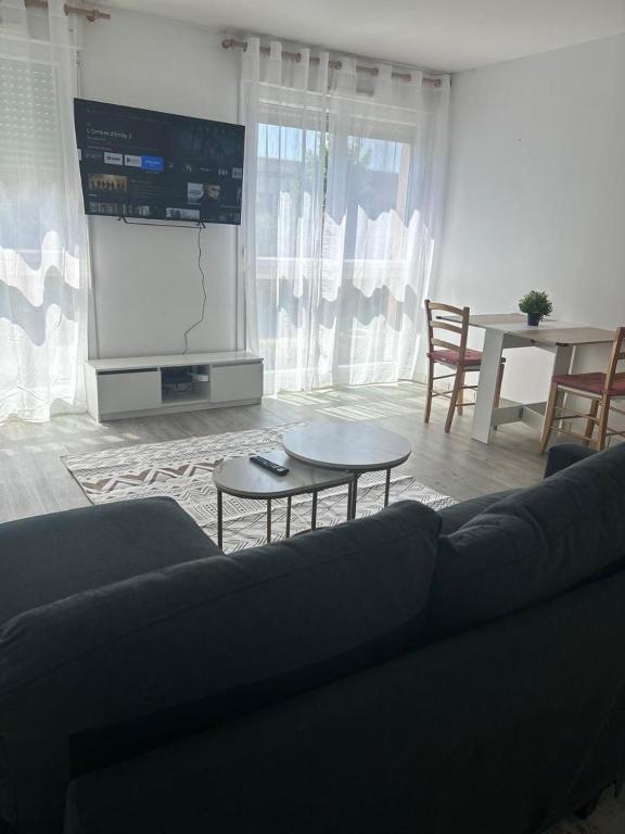 Photo de la galerie de l'établissement Ma Delaine Apartment, à Tours