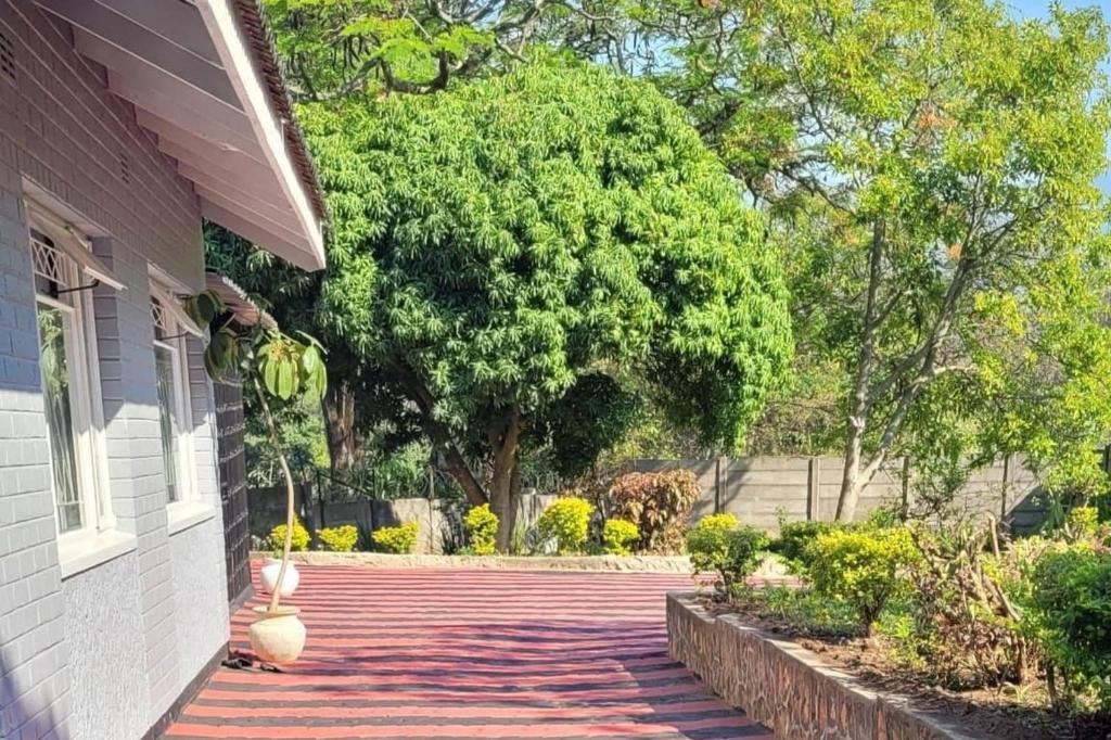 a house with a brick walkway next to a tree at Hulley Homes- Escape to Beautiful Mountain Views in Umtali