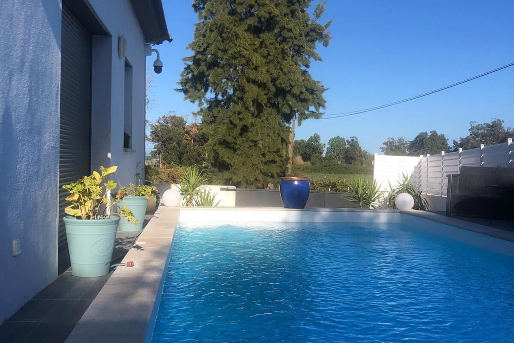 - une piscine avec des plantes en pot à côté d'une maison dans l'établissement Belle villa avec piscine, à Borgo