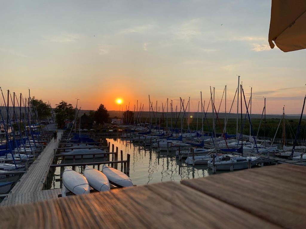a group of boats docked in a marina at sunset at Seehütte Neusiedlersee inklusive Boot in Rust
