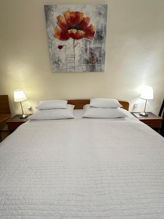 Postel nebo postele na pokoji v ubytování Apartments - Rooms VESNA
