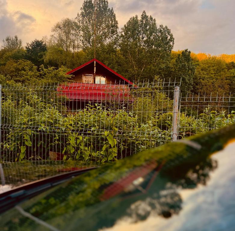 Φωτογραφία από το άλμπουμ του Cabana Livada Merilor σε Băile Govora