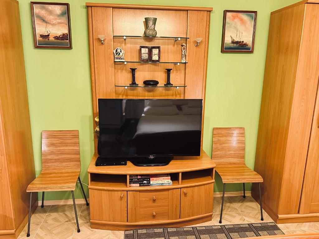 TV a/nebo společenská místnost v ubytování Apartments - Rooms VESNA