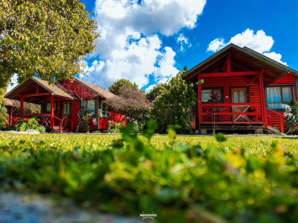 Zahrada ubytování The Wooden Rose Cabins