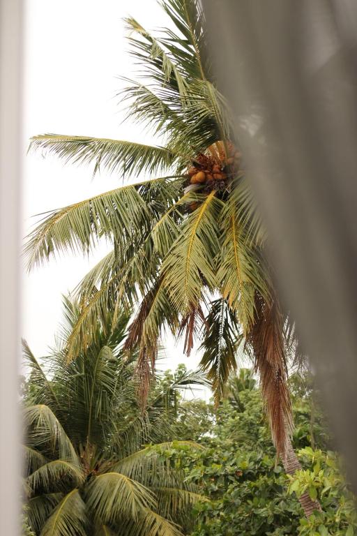 Fotografie z fotogalerie ubytování Blissview Maldives - Thulusdhoo v destinaci Thulusdhoo